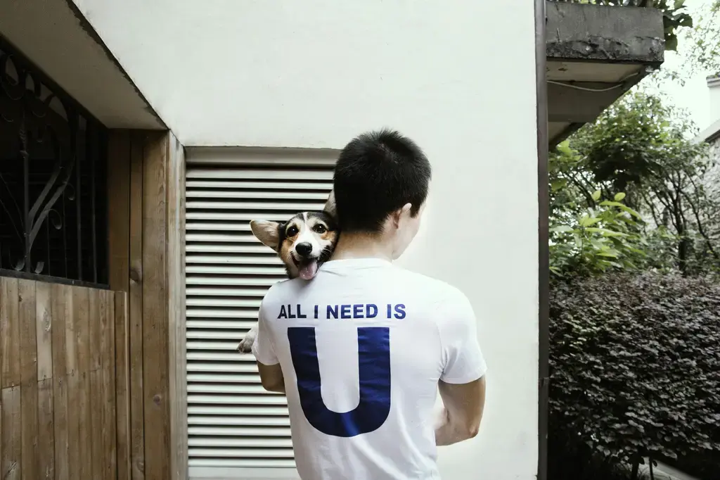 汪喵寶寶罐頭大評比：台灣繁體中文精選指南